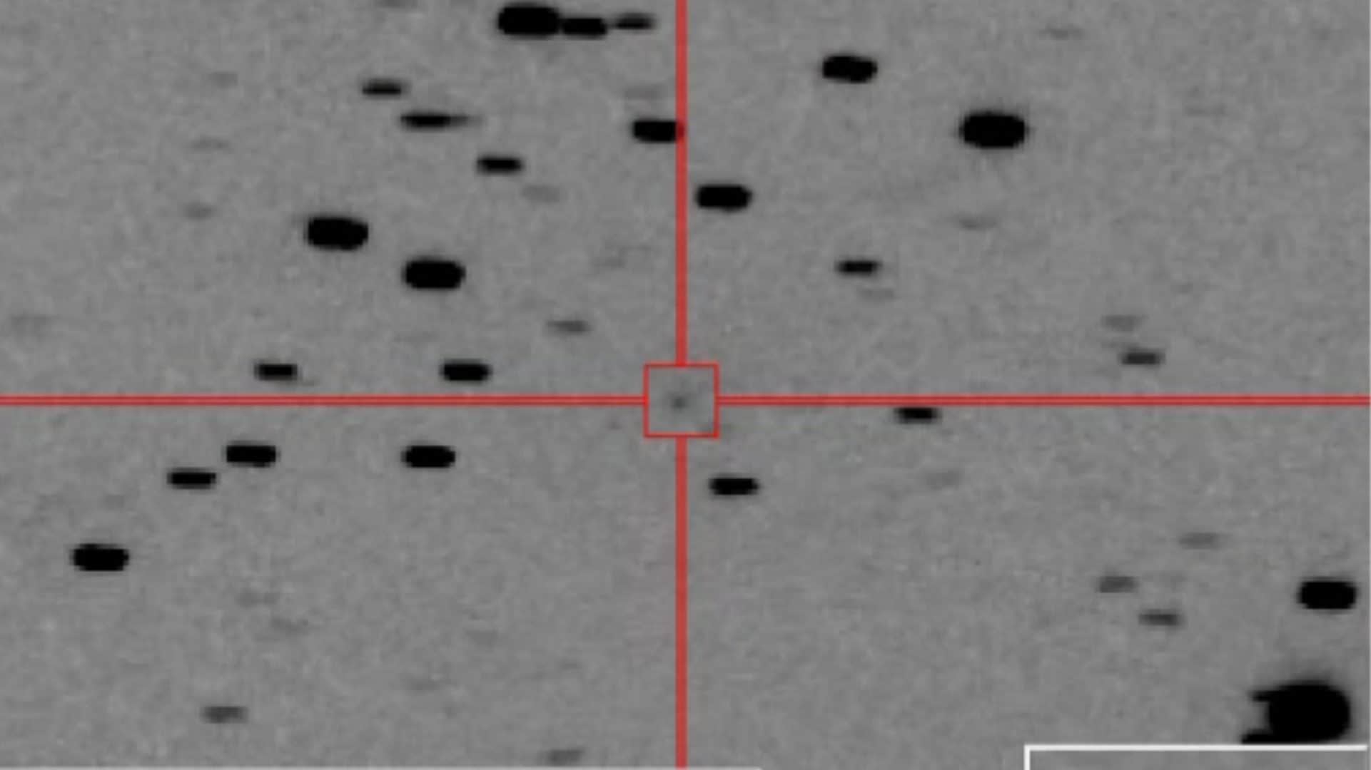 Enorme cometa di 2,4 km può diventare visibile a occhio nudo in pieno giorno: è stata appena scoperta