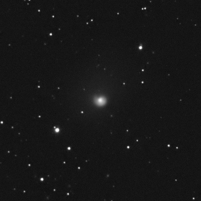 Un’altra ripresa della cometa 29P. Credit: Fabrizio Montanucci
