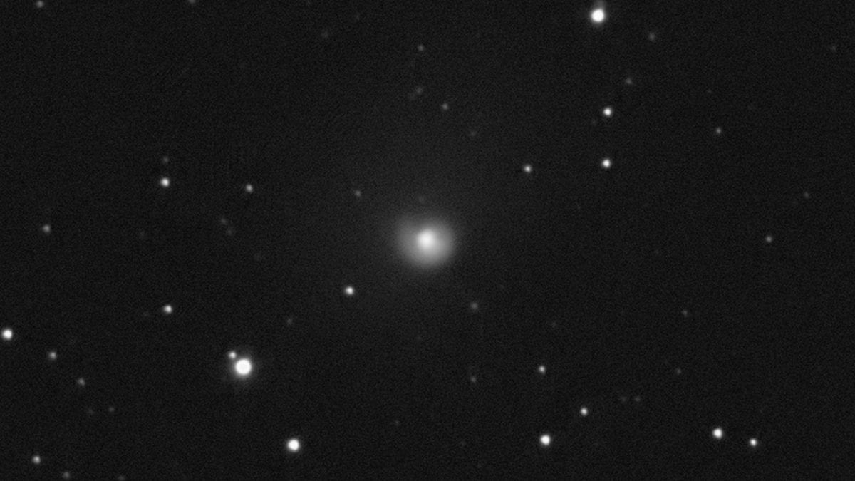 La cometa 29P/Schwassmann–Wachmann con la sua spettacolare forma a chiocciola, ripresa nel cielo di Roma. Credit: Fabrizio Montanucci