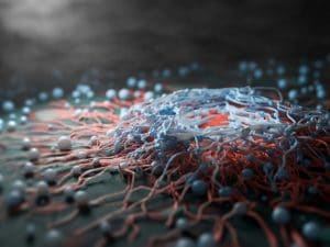 Scoperto in Italia il ruolo di una proteina chiave nella crescita dei tumori