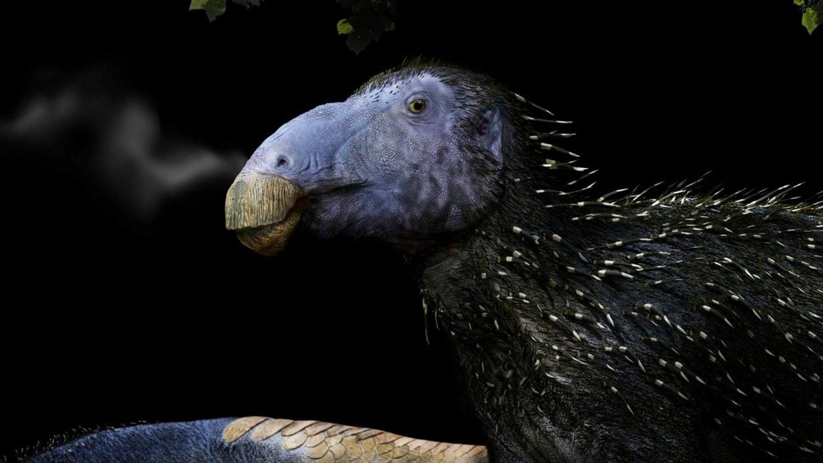 Render del "drago spinoso". Credit: FM