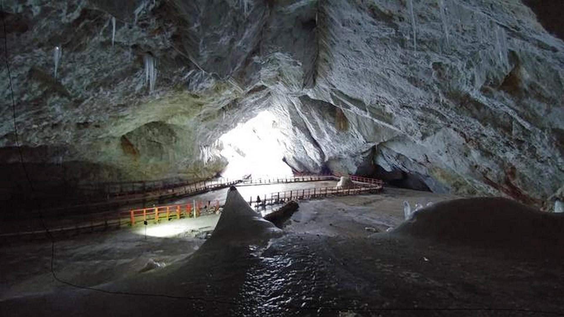 Risvegliato dal ghiaccio di 5.000 anni un batterio che resiste a 10 antibiotici: “Rischi, ma anche opportunità”