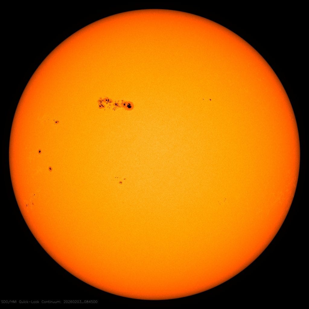La grande macchia solare AR 4366 oggi 3 febbraio 2026. Credit: NASA/SDO