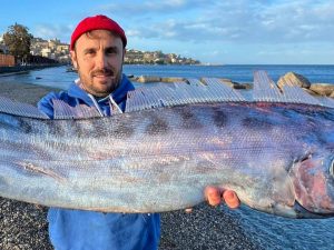 Rarissimo pesce liocorno spiaggiato in Sicilia: era ancora vivo, ma non ce l’ha fatta. Sarà esposto in un museo