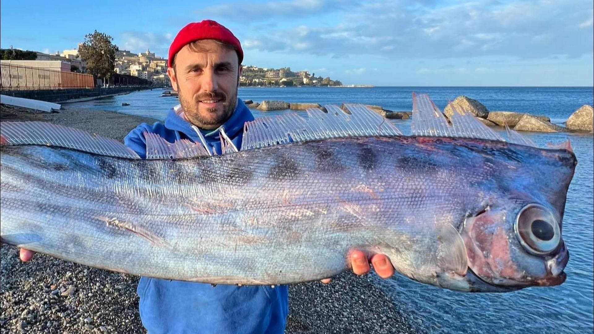 Il pesce liocorno spiaggiato a Milazzo, sorretto dal biologo marino Carmelo Isgrò. Credit: Carmelo Isgrò/Facebook