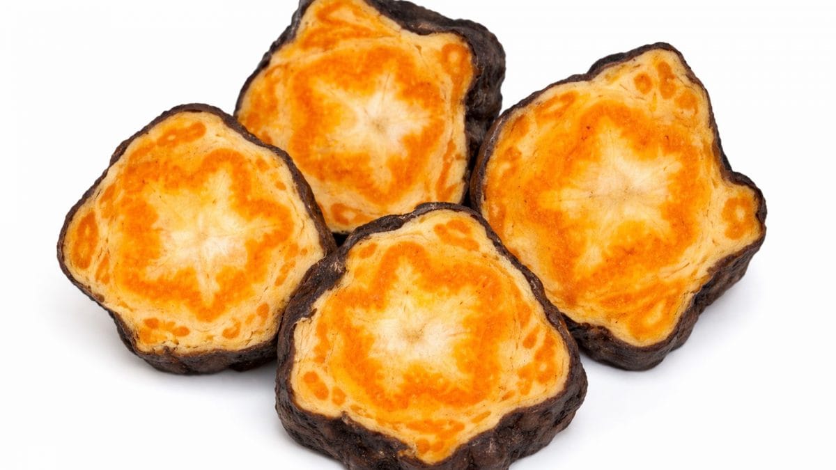 Sezione della radice di Polygonum multiflorum, al centro di una revisione scientifica sui meccanismi biologici legati alla ricrescita dei capelli / Credit: Journal of Holistic Integrative Pharmacy 2026