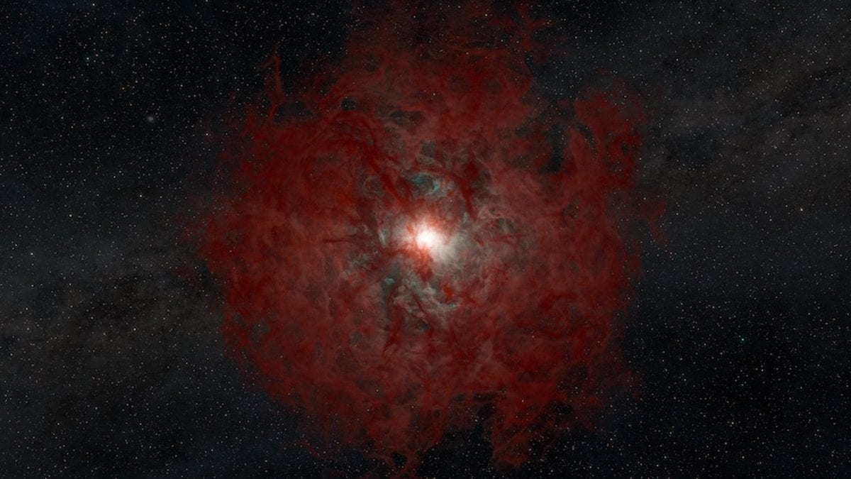 Illustrazione di una stella mentre il suo nucleo collassa in un buco nero. Credit: Keith Miller, Caltech/IPAC – SELab