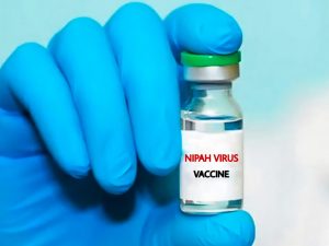 Virus Nipah, annunciati i primi test sull’uomo del vaccino: l’infezione ha una mortalità del 40-75%
