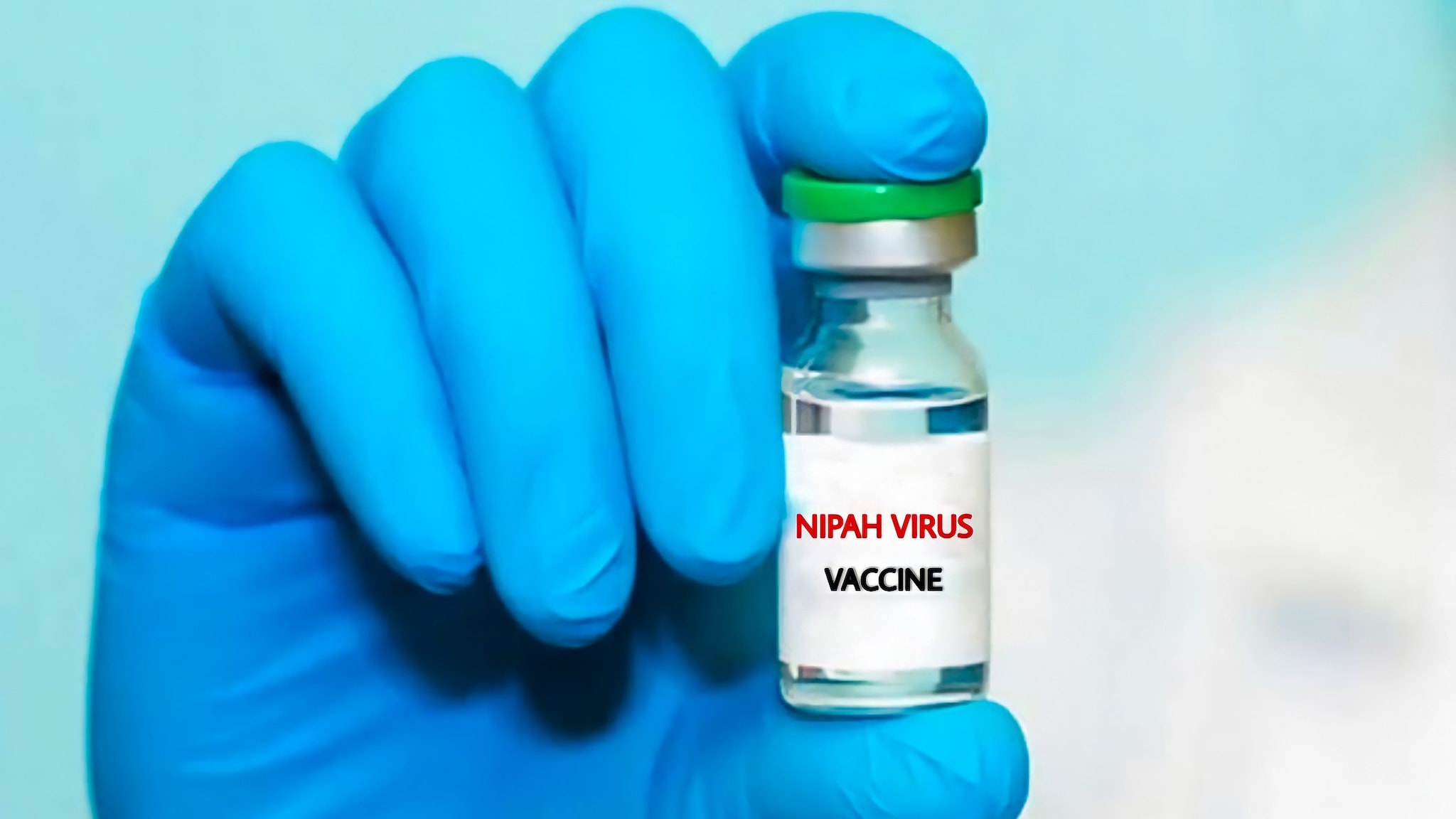 Virus Nipah, annunciati i primi test sull'uomo del vaccino: l'infezione ha una mortalità del 40-75%