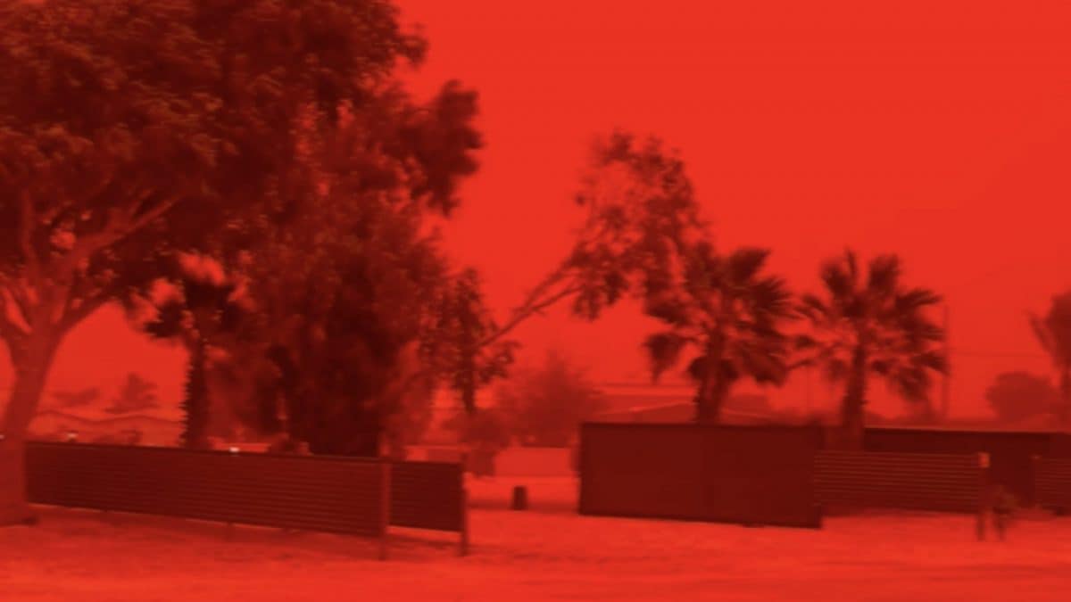 Credits: Shark Bay Caravan Park