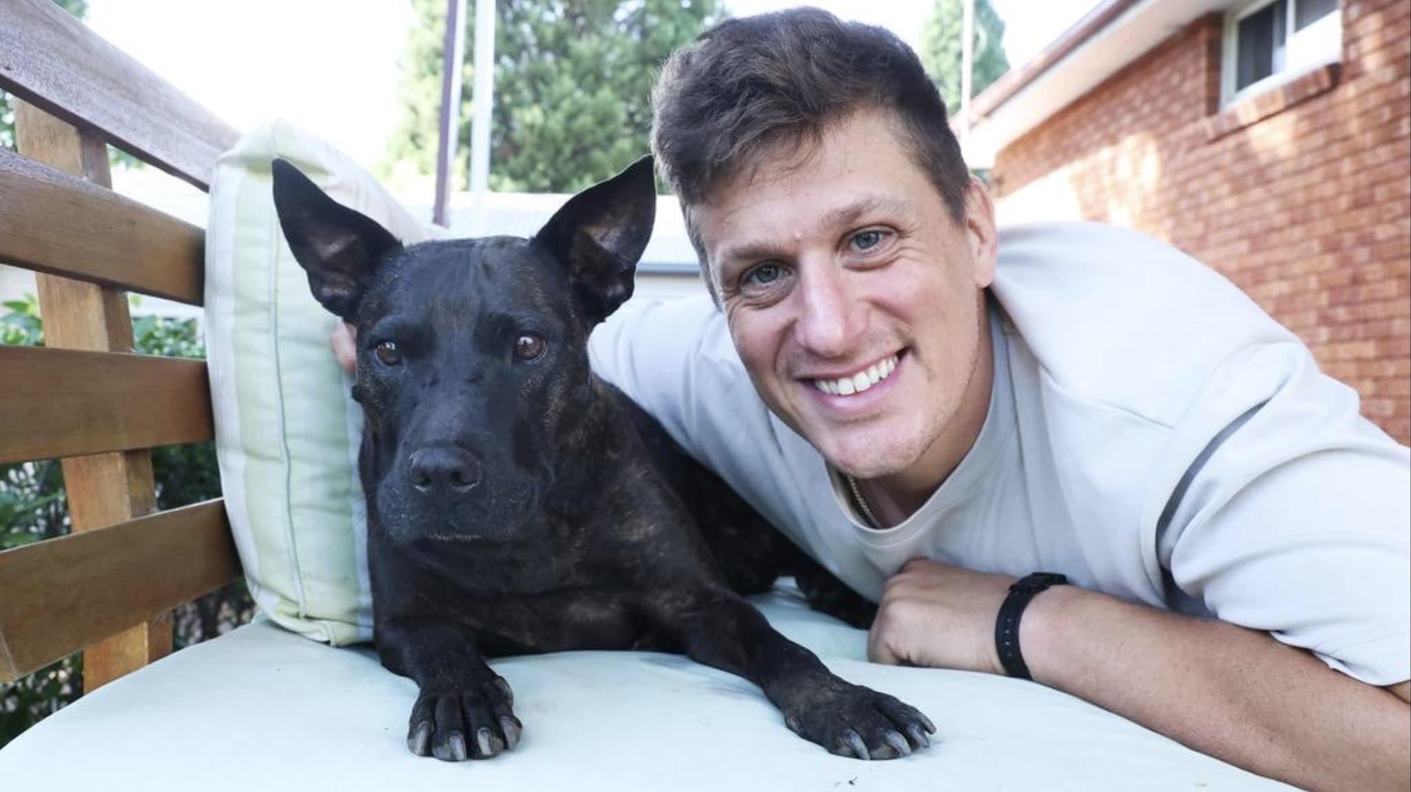 Il suo cane ha tumore senza cure, Paul riesce a trovare un vaccino con ChatGPT: l'analisi della storia