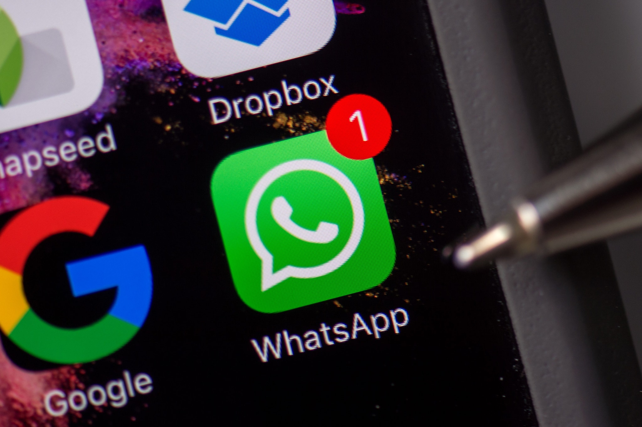 Su WhatsApp si potranno vedere gli aggiornamenti di Stato anche dei numeri non salvati: cosa cambia