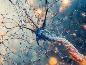 Alzheimer, scoperto un “interruttore” che alimenta la perdita di memoria: coinvolte due proteine