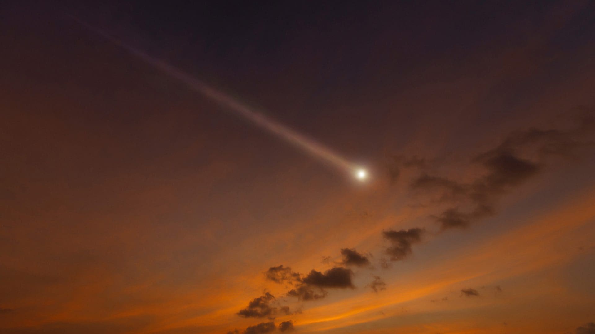 Il 4 aprile gloria o distruzione per la cometa C/2026 A1 (MAPS): visibile a occhio nudo se sopravvive al Sole