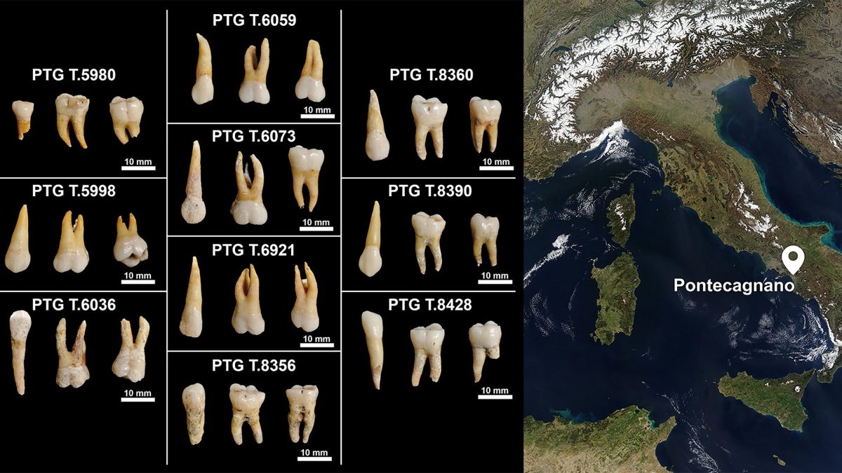 A sinistra i denti analizzati nello studio, a destra la posizione di Pontecagnano. Credit: PLoS ONE/Germano et al