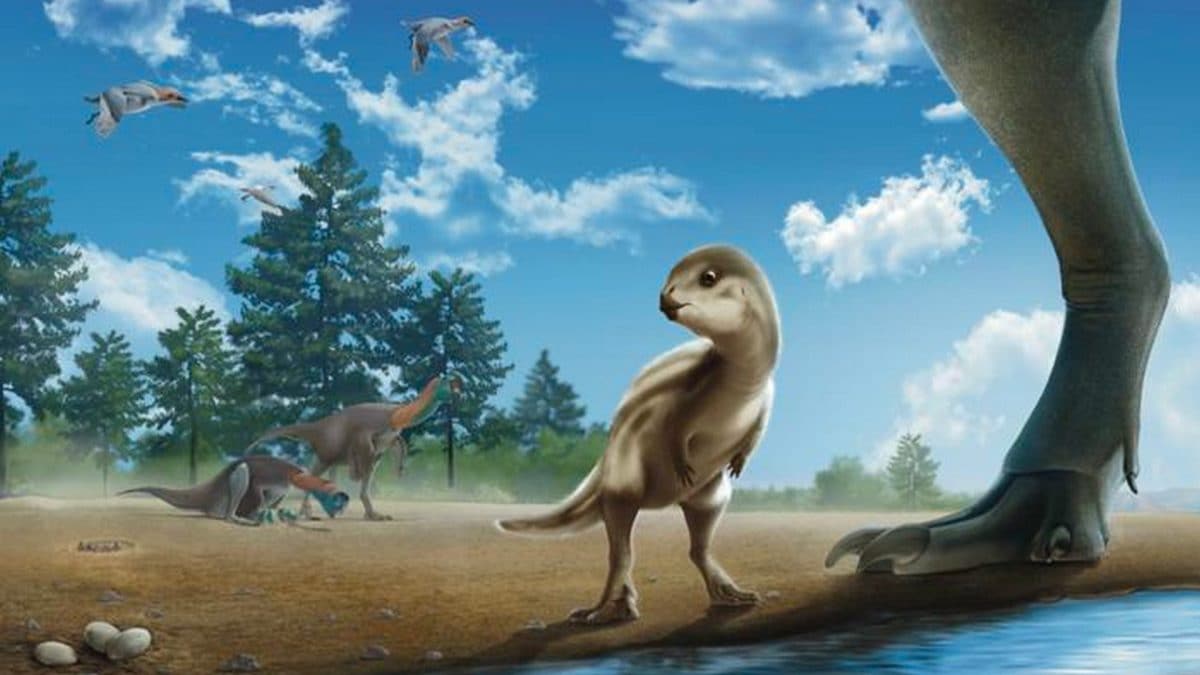 Illustrazione di Doolysaurus huhmini. Credit: Jun Seong Yi