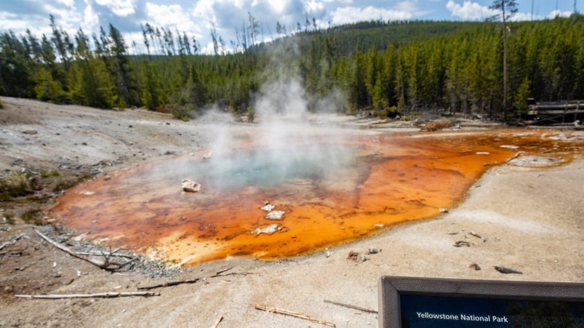 L’Echinus Geyser al Parco Nazionale di Yellowstone