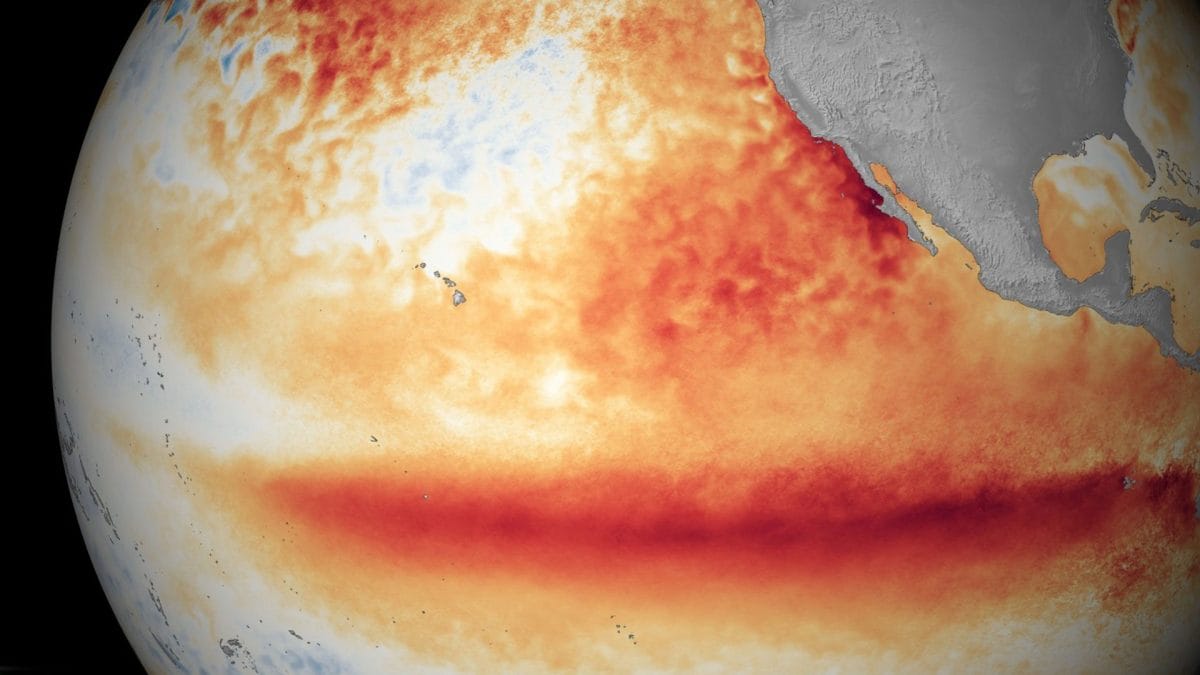 Anomalie della temperatura superficiale del Pacifico equatoriale durante un evento di El Niño. Crediti: NOAA.
