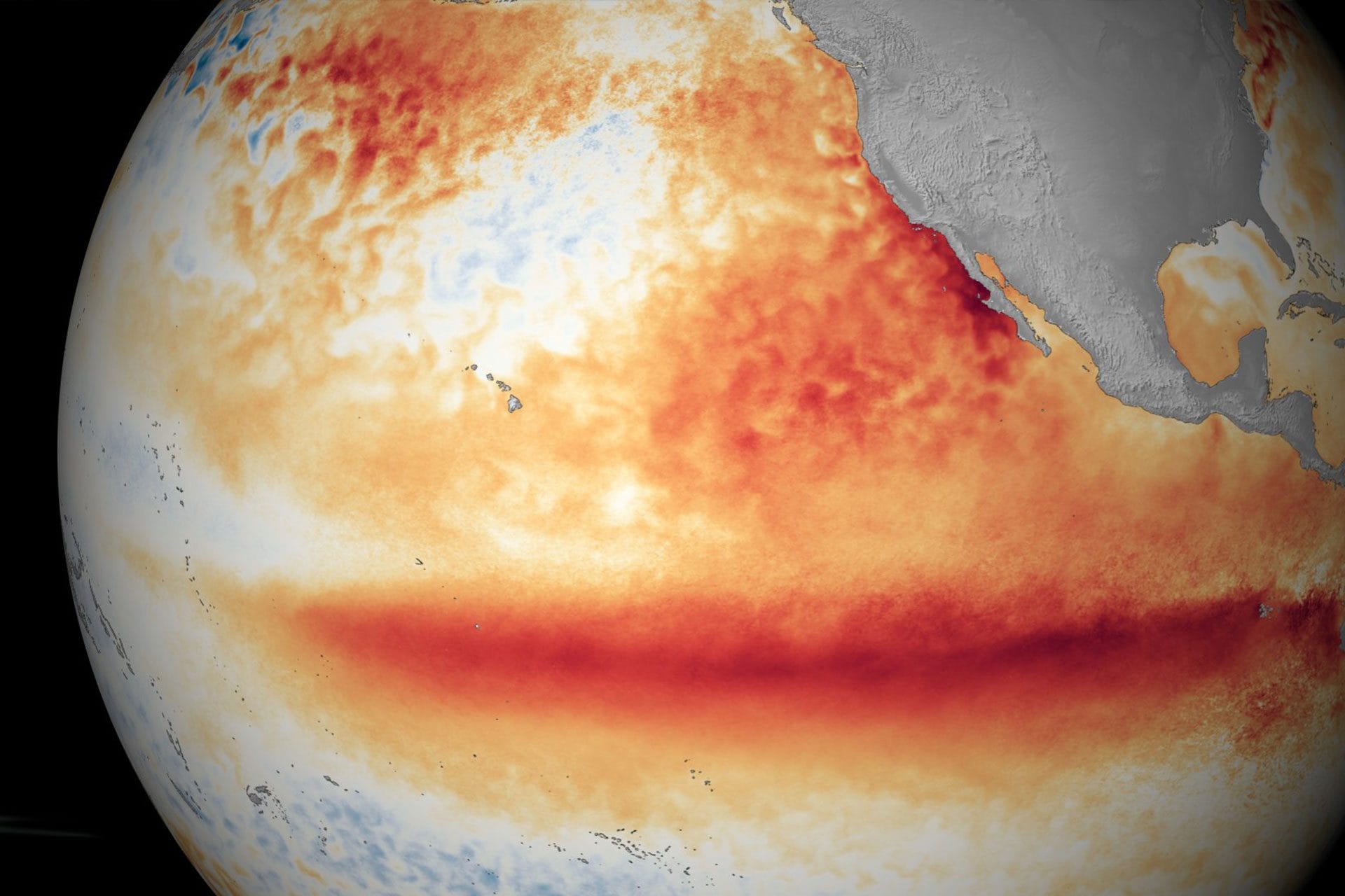 El Niño torna nel 2026? Le nuove previsioni NOAA sul fenomeno che può portare caldo e piogge estreme