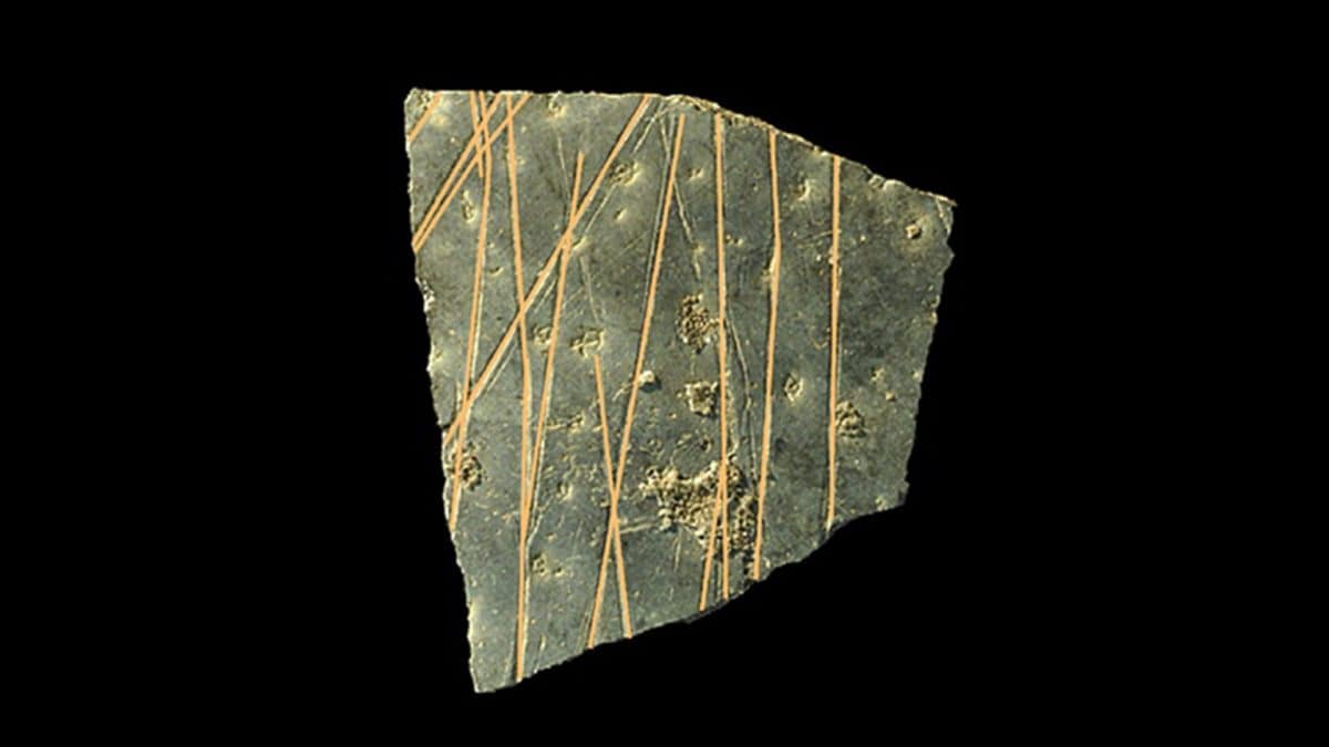 Un frammento di guscio d’uovo di struzzo inciso oltre 60.000 anni fa. Credit: Università di Bologna/Ferrara et al.