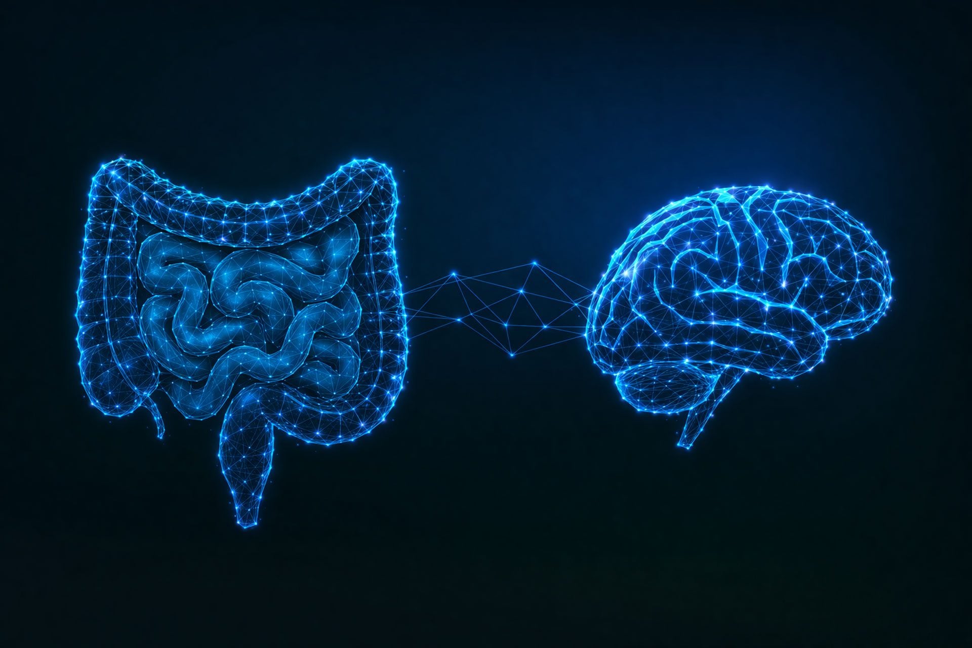 Perché perdi l’appetito quando sei malato: un nuovo studio su Nature svela il segnale intestino-cervello