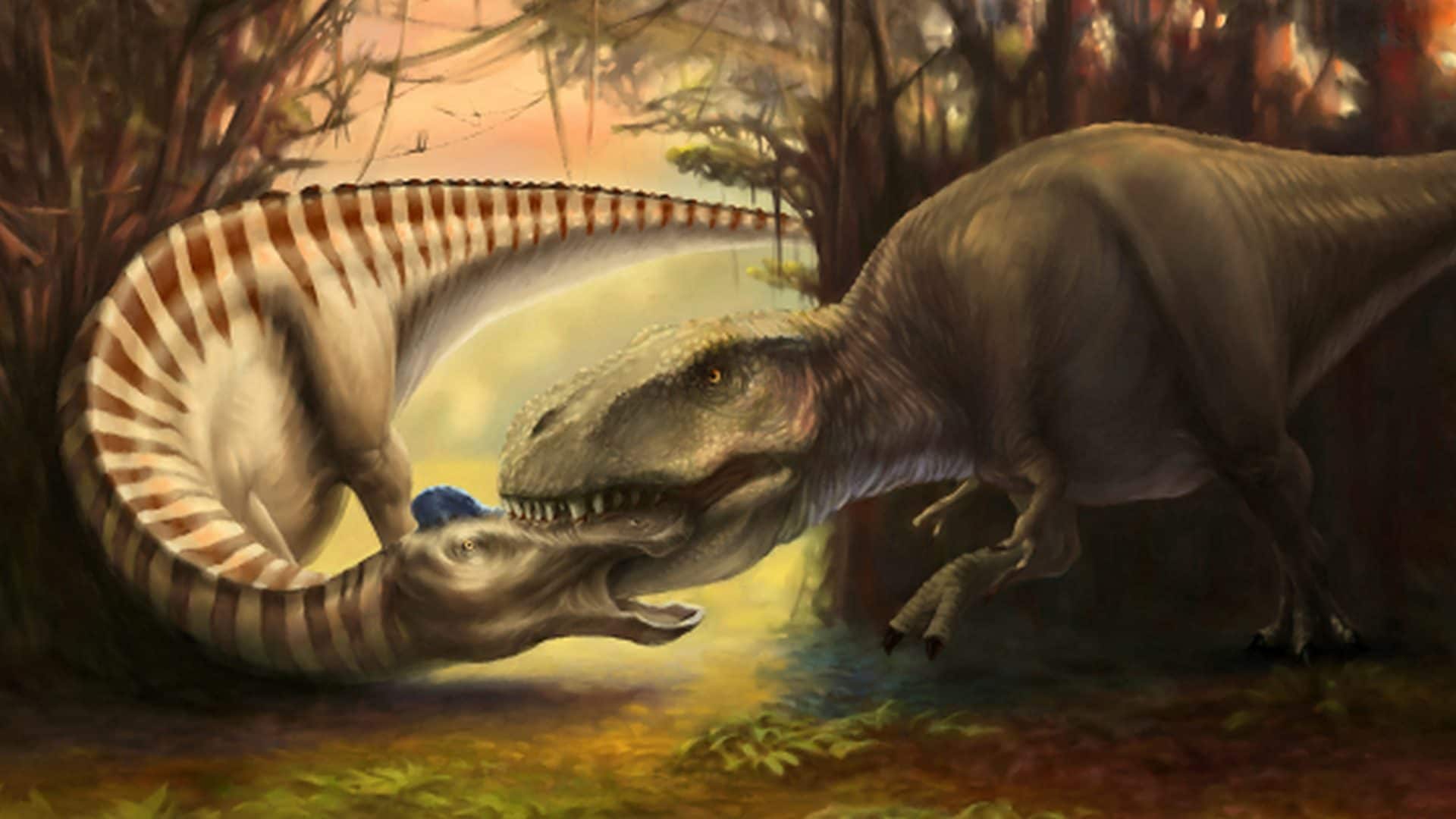 Fossile eccezionale ha un dente conficcato nel cranio: “È di un T. rex”. Studio svela l'attacco del tirannosauro