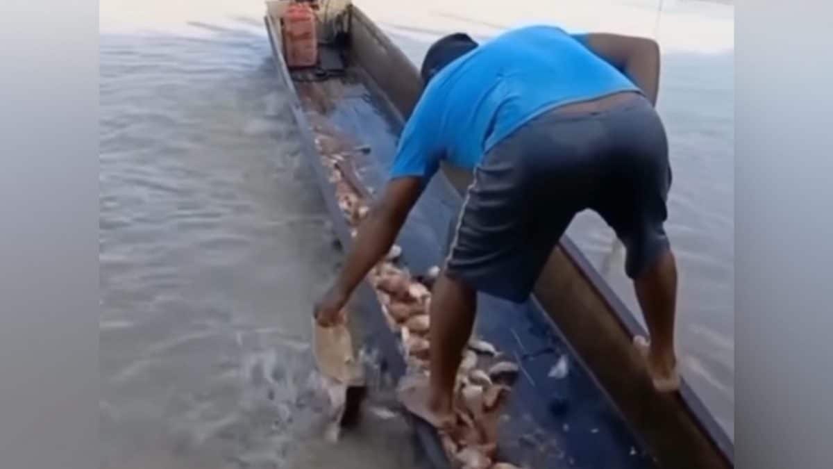 La tecnica di pesca tradizionale al caribe (piranha) in Venezuela. Credit: Instagram/notiprendadigital.com