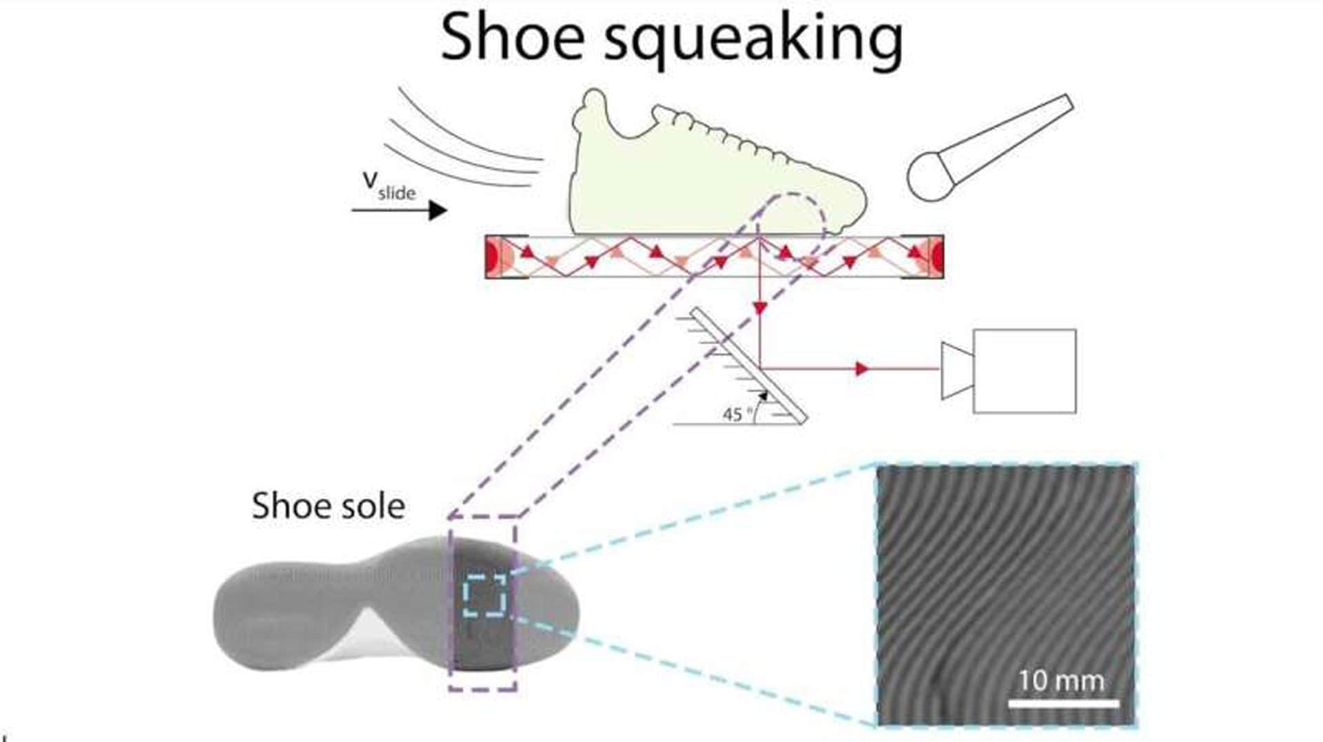 Schema dell’esperimento: la suola viene fatta scorrere su una superficie liscia per osservare le deformazioni responsabili dello stridio. Credit: Adel Djellouli / Bertoldi lab at Harvard