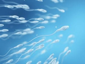 Spermatozoi disorientati ed embrioni anomali in microgravità: fare figli nello spazio non sarà facile