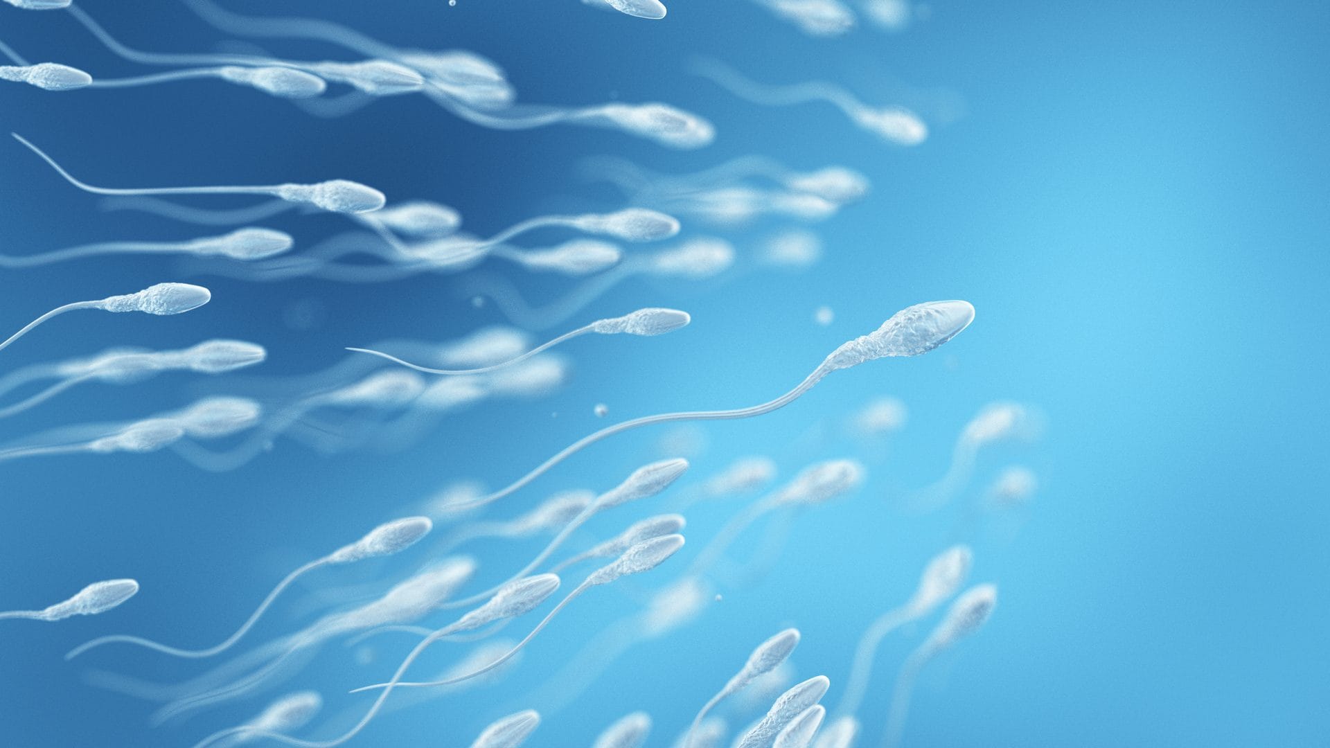 Spermatozoi disorientati ed embrioni anomali in microgravità: fare figli nello spazio non sarà facile