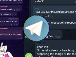 Siamo entrati nella chat Telegram creata prima dell’accoltellamento del 13enne: “Ti seguiremo in diretta”
