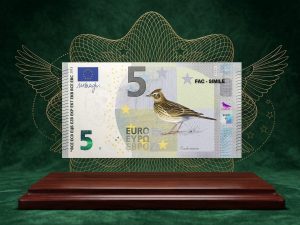 I disegni che vedremo sui nuovi euro stampati dalla Bce: in concorso anche uccelli come picchio muraiolo