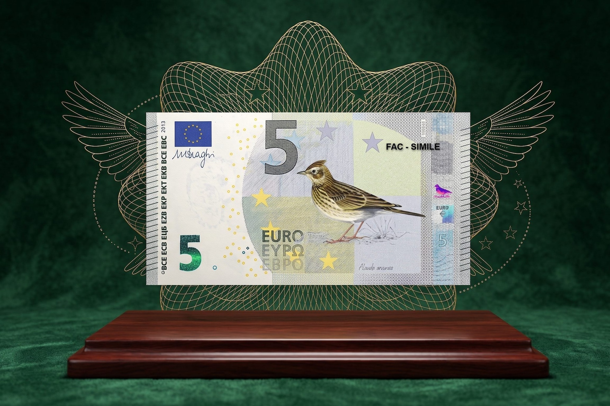 I disegni che vedremo sui nuovi euro stampati dalla Bce: in concorso anche uccelli come il picchio muraiolo