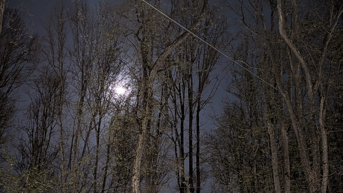 FANPAGE.IT | Prova fotografica Pixel 10a: la Luna dietro gli alberi