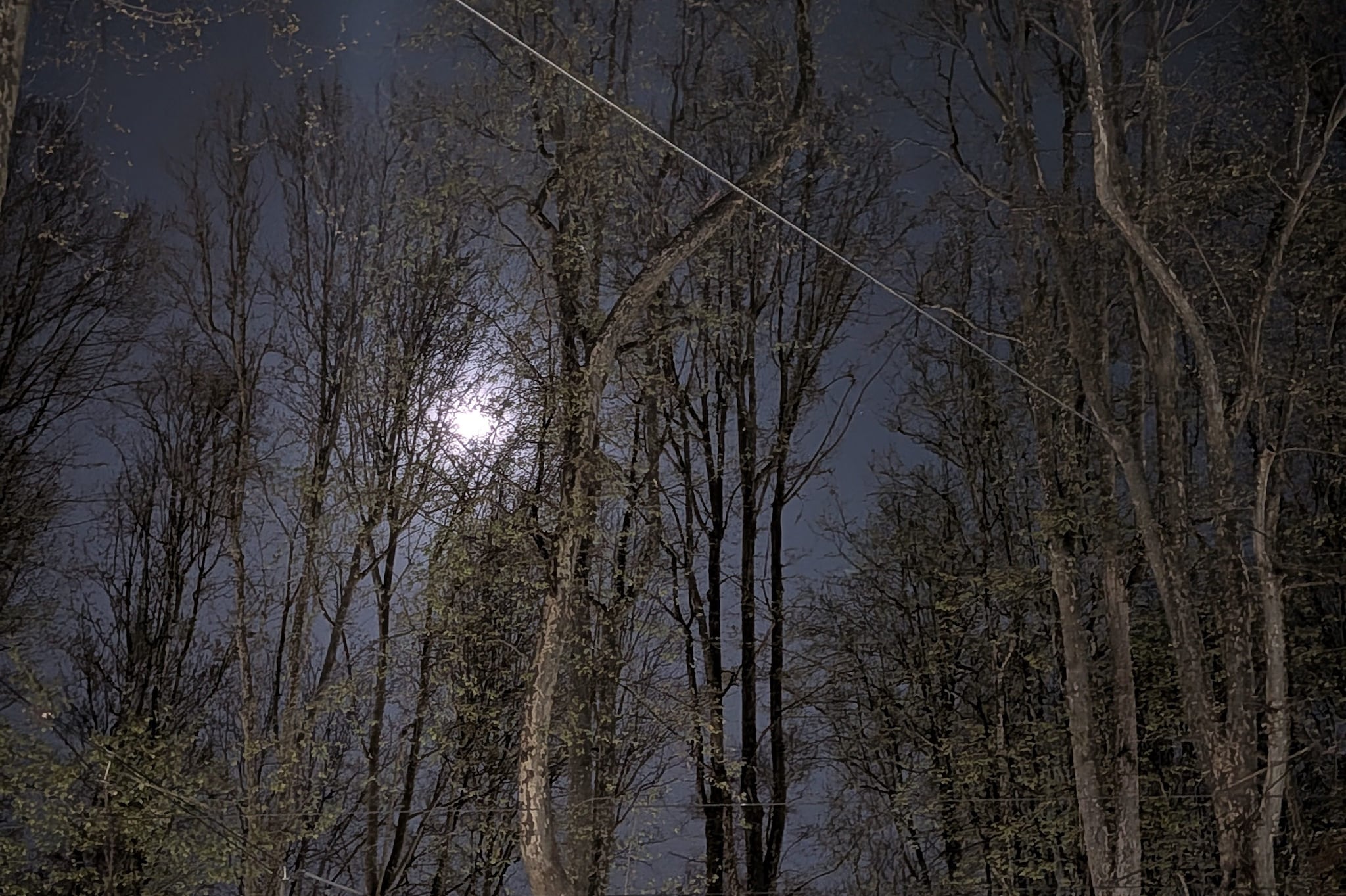 Uno smartphone dal design pulitissimo e con il costo in fascia media: la prova notturna di Pixel 10a