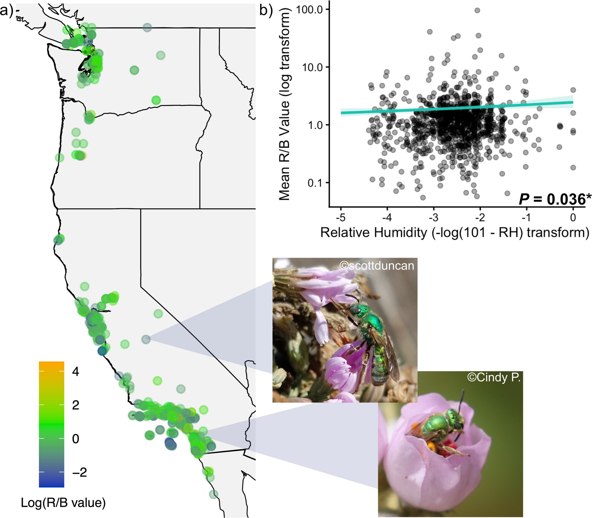 Credit: Biology Letters