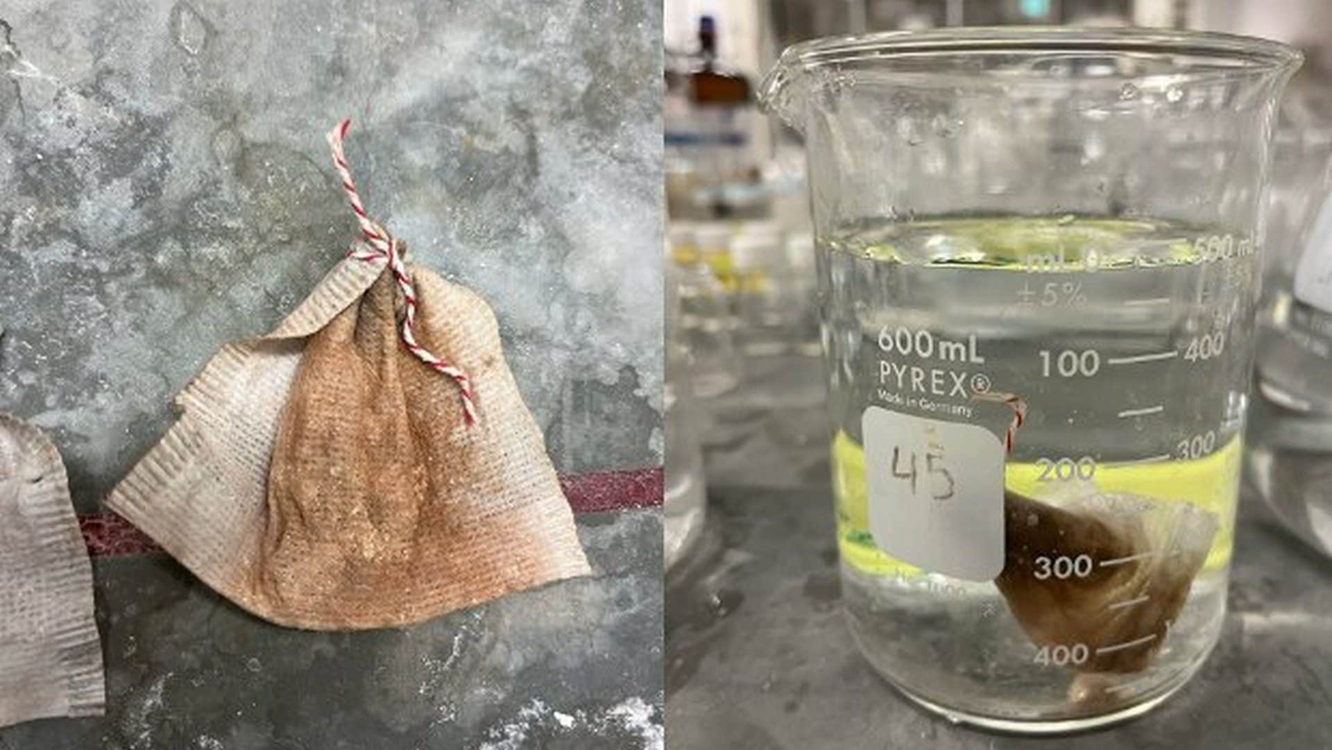 Vick, liceale, inventa un modo per eliminare l'arsenico dall'acqua con bustine di tè: studio conferma l'efficacia