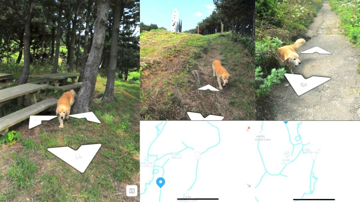 Il cane Maru visibile nella funzione Street View della mappa Kakao. Credit: Daum – Kakaomap