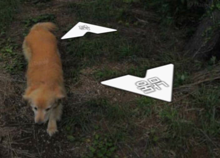 Il cane Maru. Credit: Daum – Kakaomap