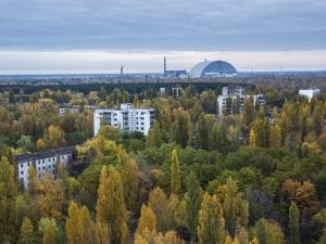 Gli effetti sugli animali di Chernobyl, 40 anni dopo: la zona di esclusione è un laboratorio a cielo aperto