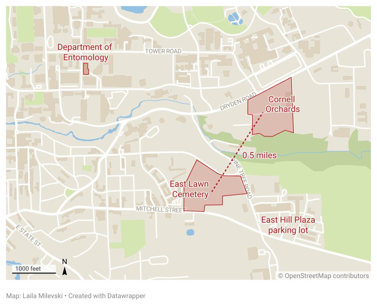Il cimitero e il vicino frutteto. Credit: Università Cornell