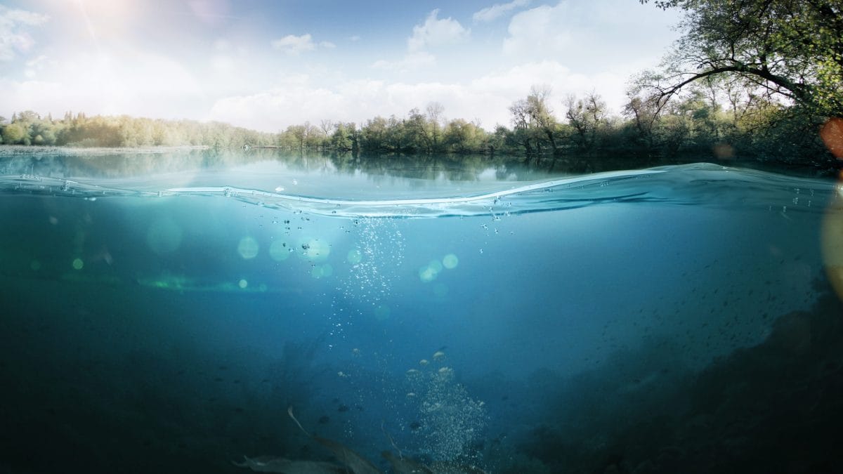 Doggerland, la terra che collegava Gran Bretagna ed Europa, oggi sommersa: studi recenti indicano la presenza di foreste già oltre 16.000 anni fa.