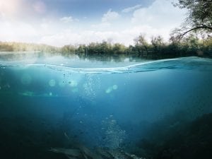 Sotto il Mare del Nord c’è una foresta perduta di oltre 16.000 anni: la scoperta sul Doggerland