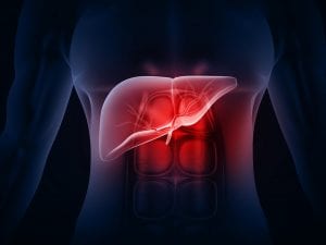 Fegato grasso, nuovo studio su The Lancet: fino a 1,8 miliardi di casi nel mondo entro il 2050