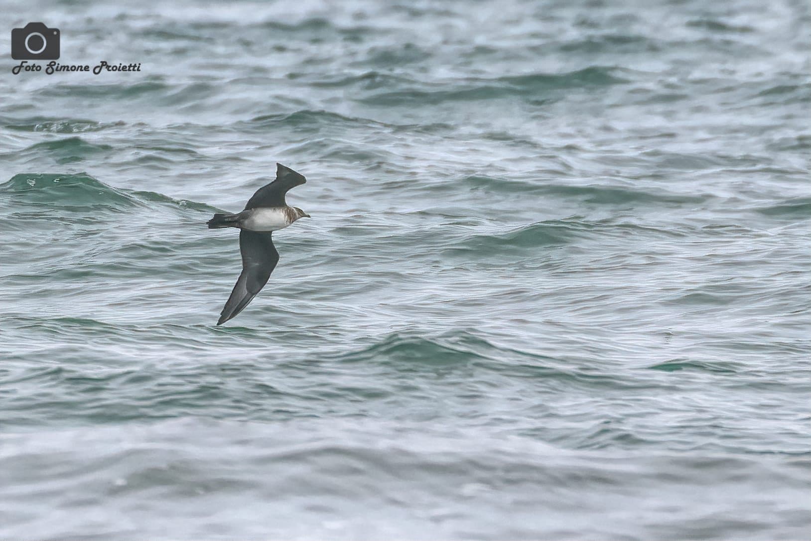 Labbo. Credit: Simone Proietti