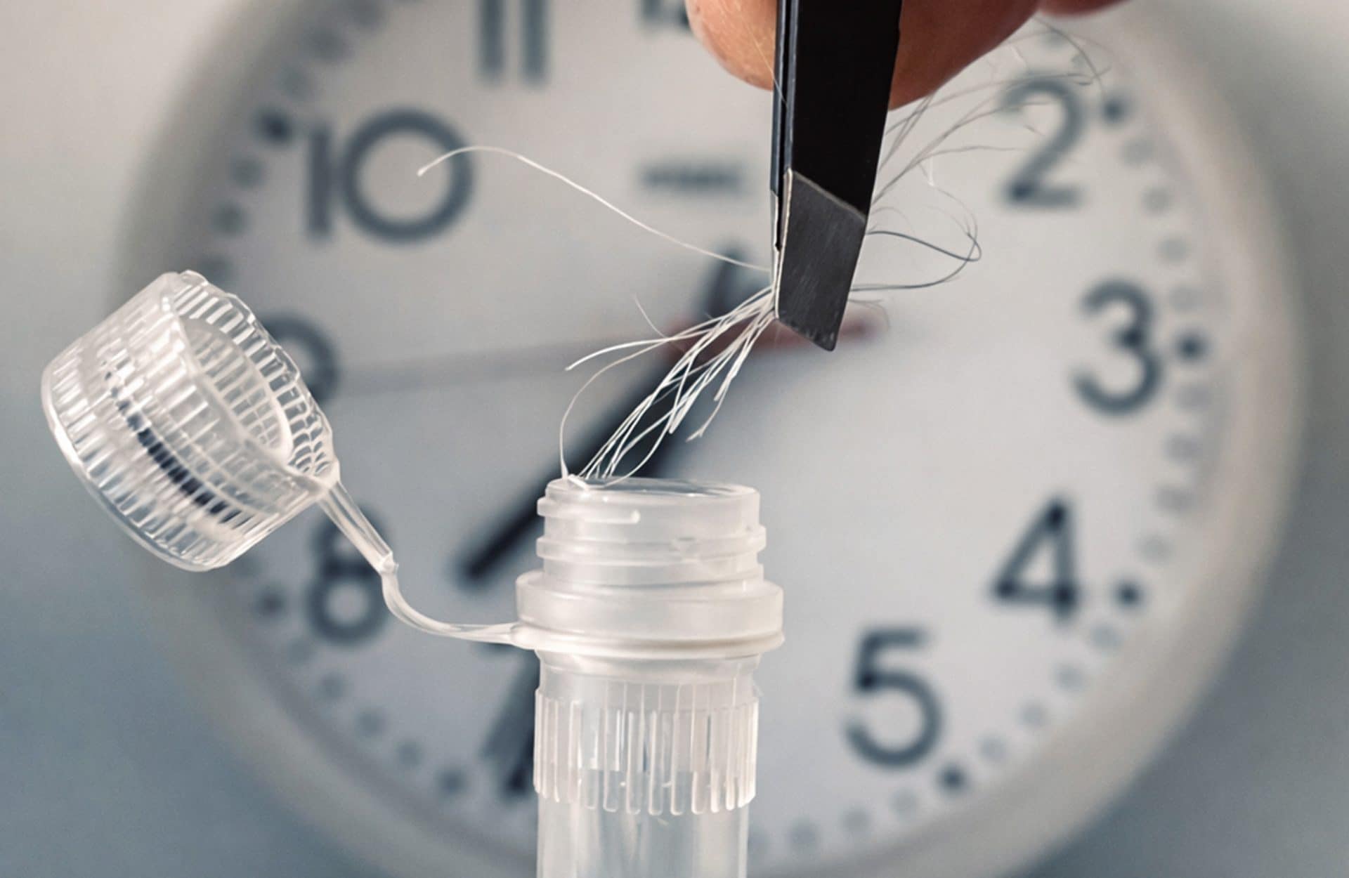 Un test può stabilire l'orologio biologico interno di una persona dai capelli: l'esperimento sulla rivista PNAS
