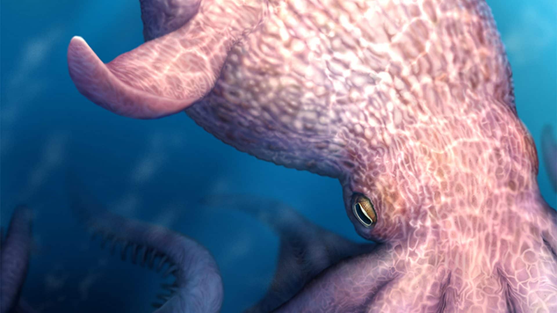 Polpi giganti di 19 metri si celavano negli oceani al tempo dei dinosauri: erano in cima alla catena alimentare