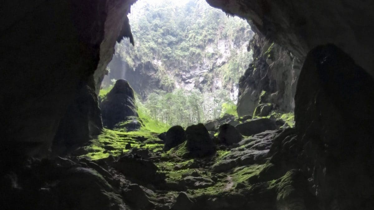 Interno della grotta Hang Sơn Đoòng, in Vietnam, illuminata da una dolina naturale che lascia filtrare la luce nella cavità. Crediti: Doug Knuth, CC BY–SA 2.0 (Wikimedia Commons).