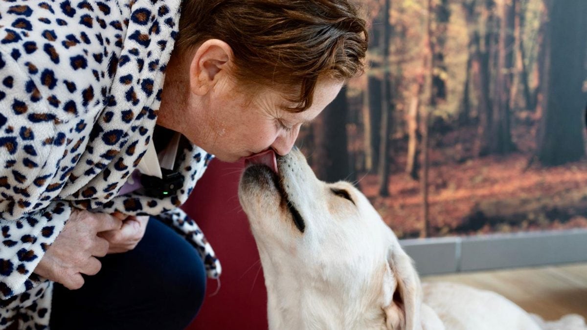 Barbara con il cane Joy durante il ricovero dopo l’intervento per tumore al pancreas