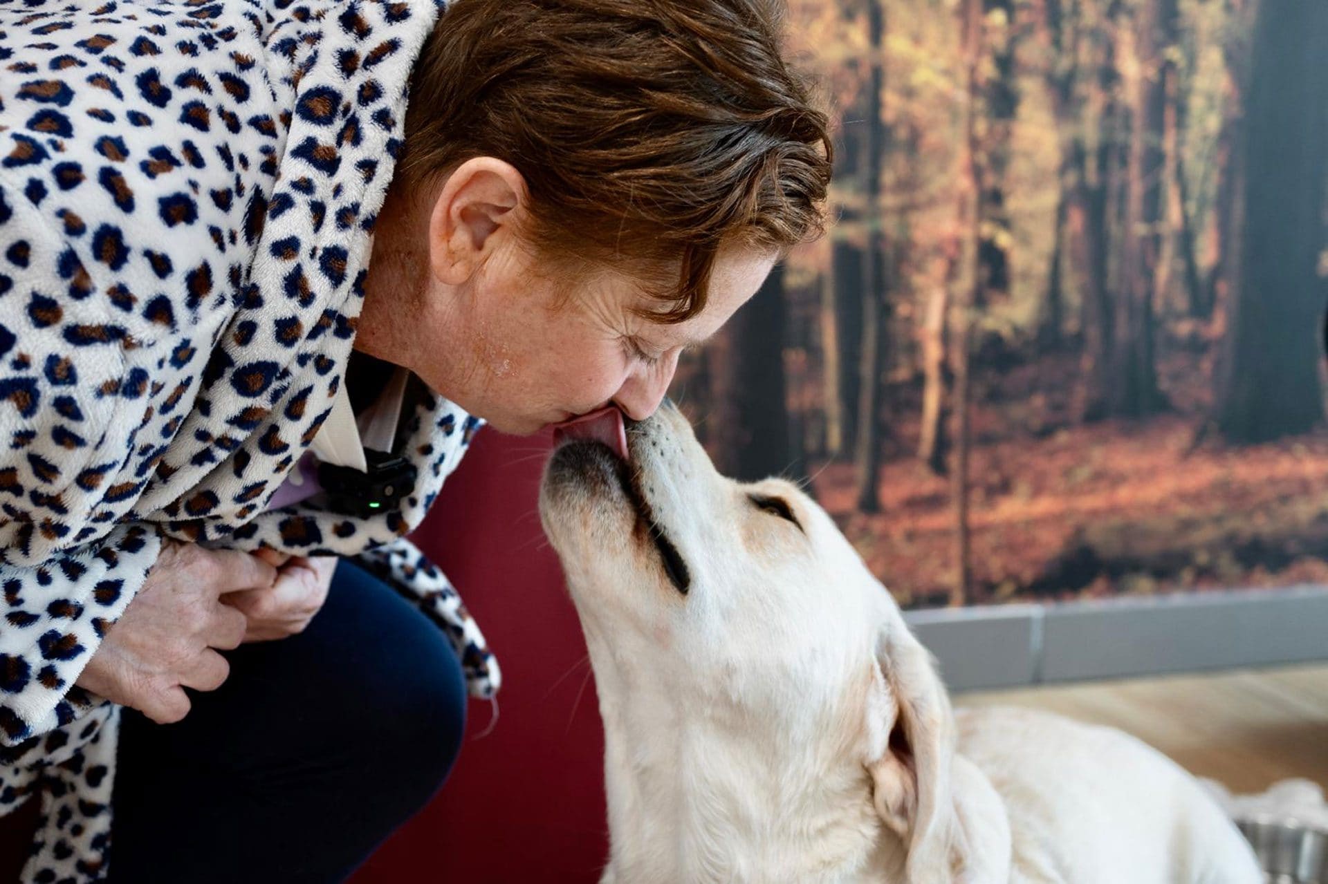 Tumore al pancreas scoperto dopo il comportamento insolito del cane: la storia di Barbara e della labrador Joy